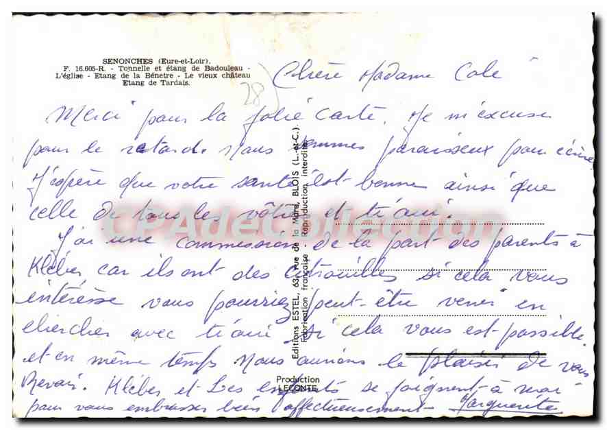 Senonches — vue panoramique avec étang, église et château — Éditeur Estel — Reverso