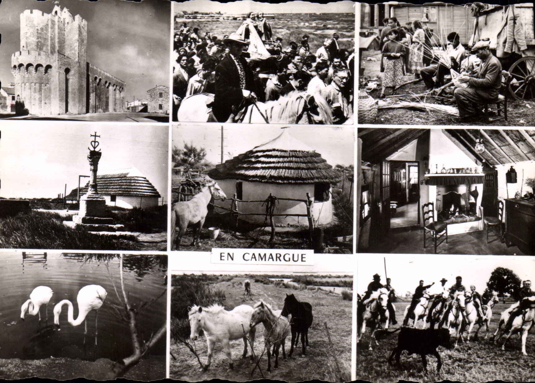 En Camargue — Église des Saintes-Maries, promenade des Gitans, cabane de Gardians, flamants roses, chevaux et taureaux — Société des Cartes Postales AFA-POUX — ALBI