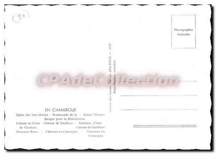 En Camargue — Église des Saintes-Maries, promenade des Gitans, cabane de Gardians, flamants roses, chevaux et taureaux — Société des Cartes Postales AFA-POUX — ALBI — Reverso