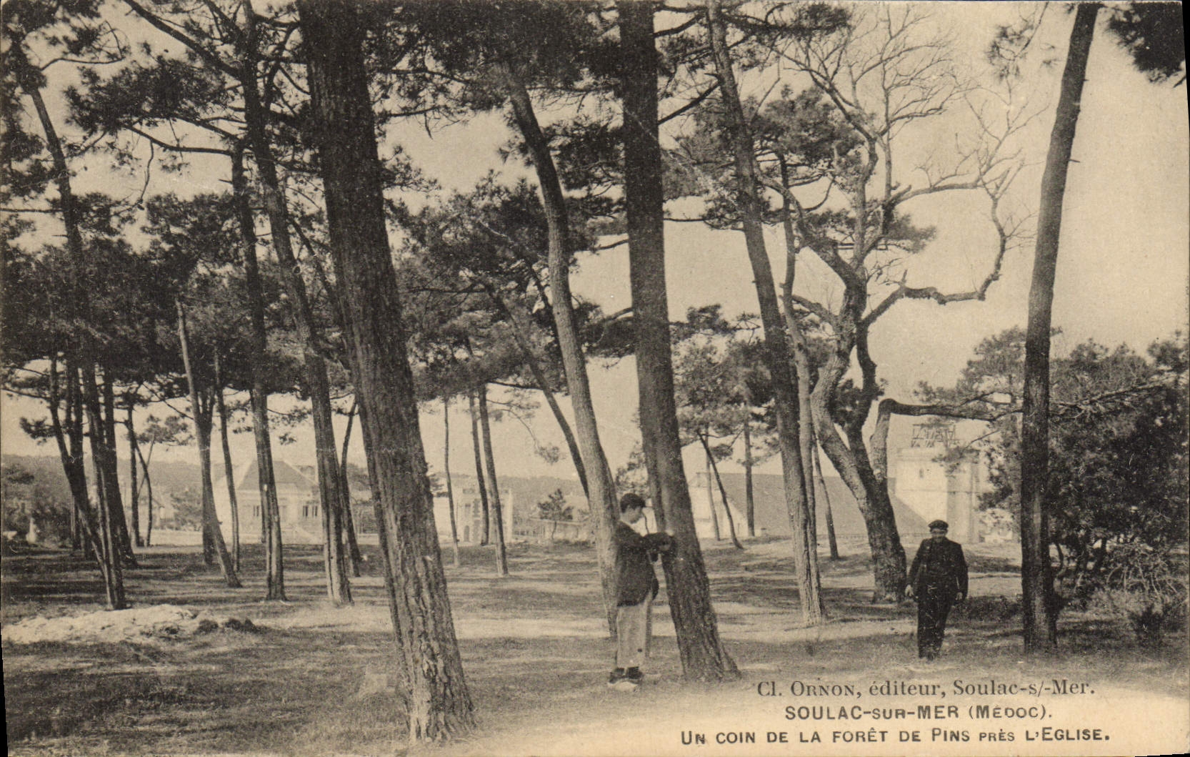 Soulac-sur-Mer — Un coin de la forêt de pins près l'église — Cl. Ornon, éditeur, Soulac-sur-Mer