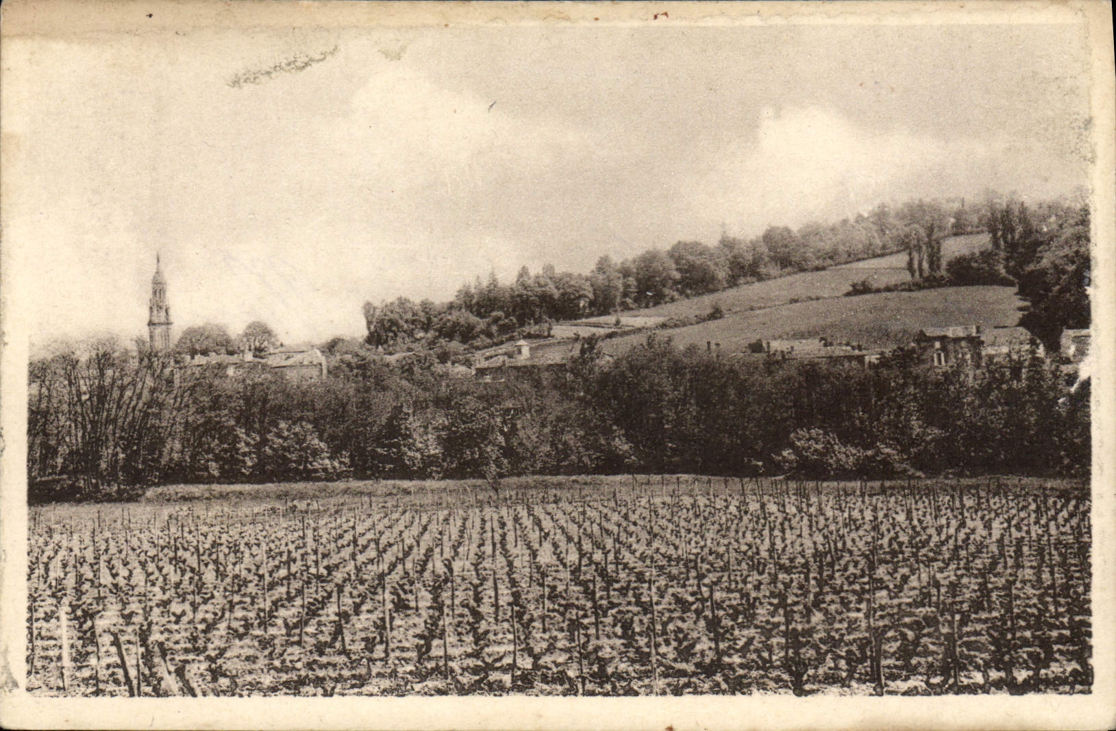 CPA Verdelais Vue Generale Et Le Vignoble
