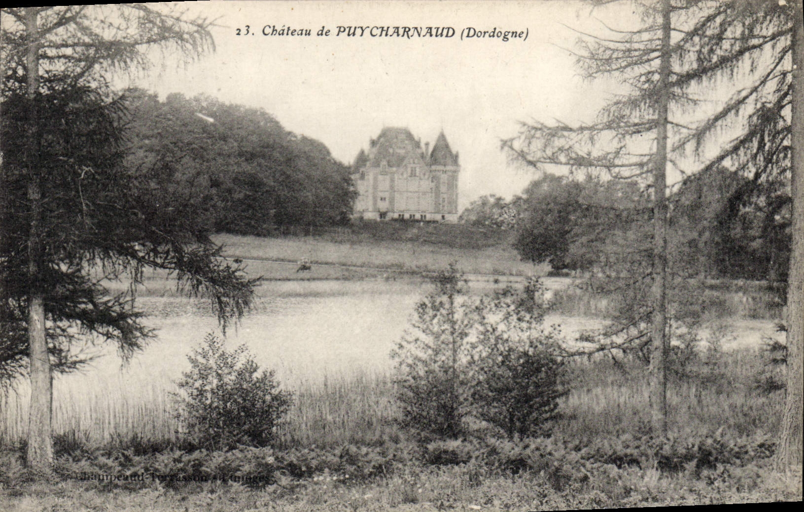 CPA Chateau De Puycharnaud