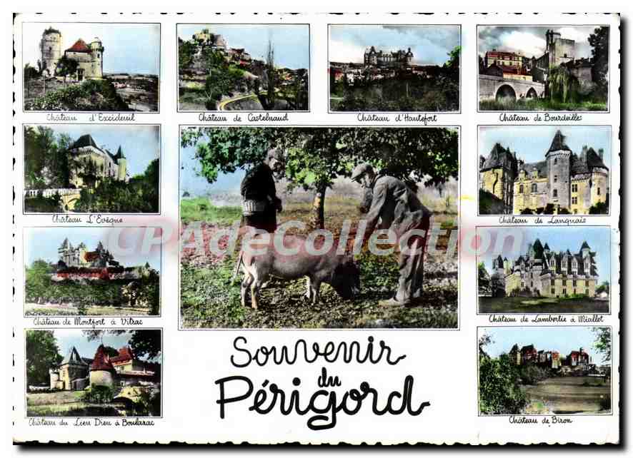 CPSM Perigord Souvenir Du