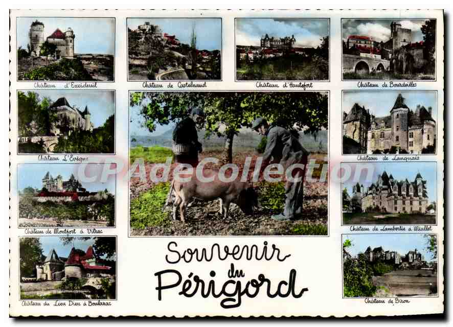 CPSM Souvenir Du Perigord