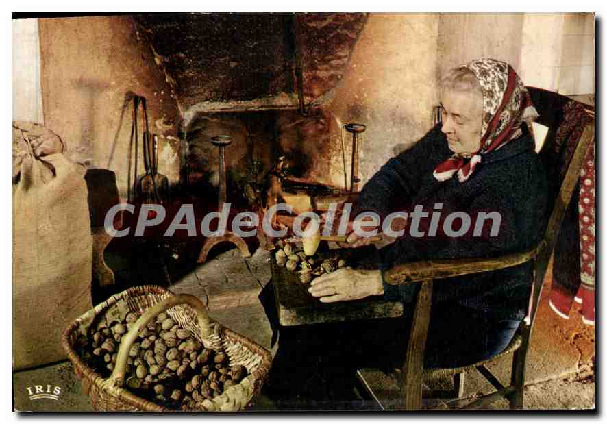 CPSM En Perigord La Casseuse De Noix