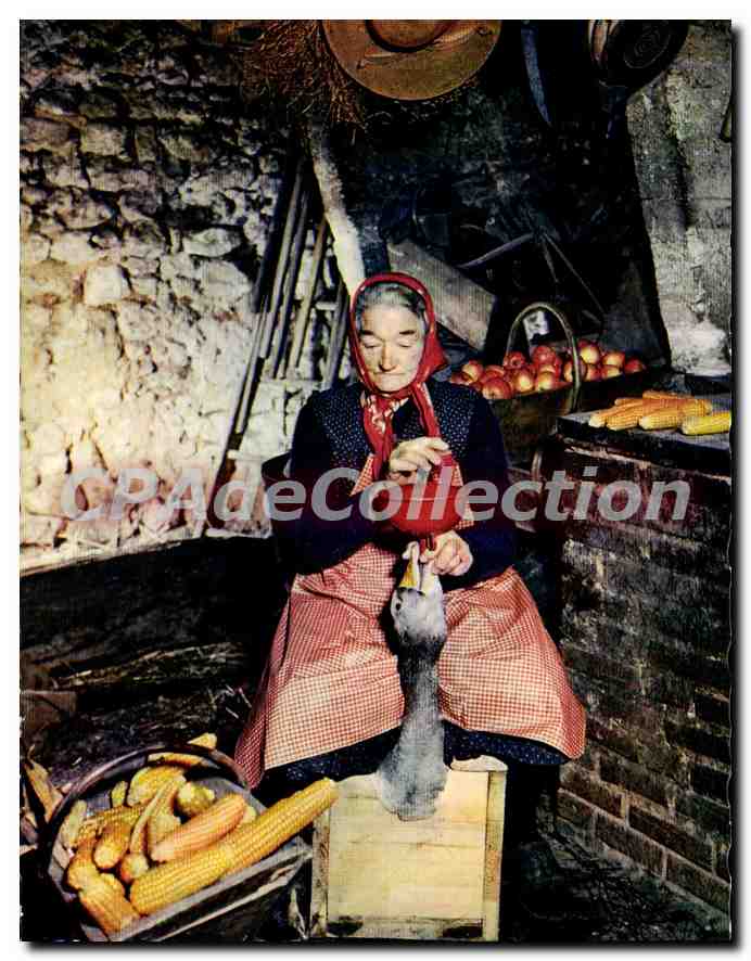 CPSM Le Perigord Pittoresque La Gaveues D'Oie