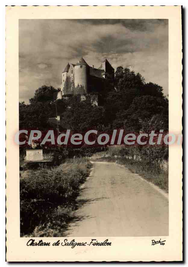 CPSM Chateau De Salignac Feneline