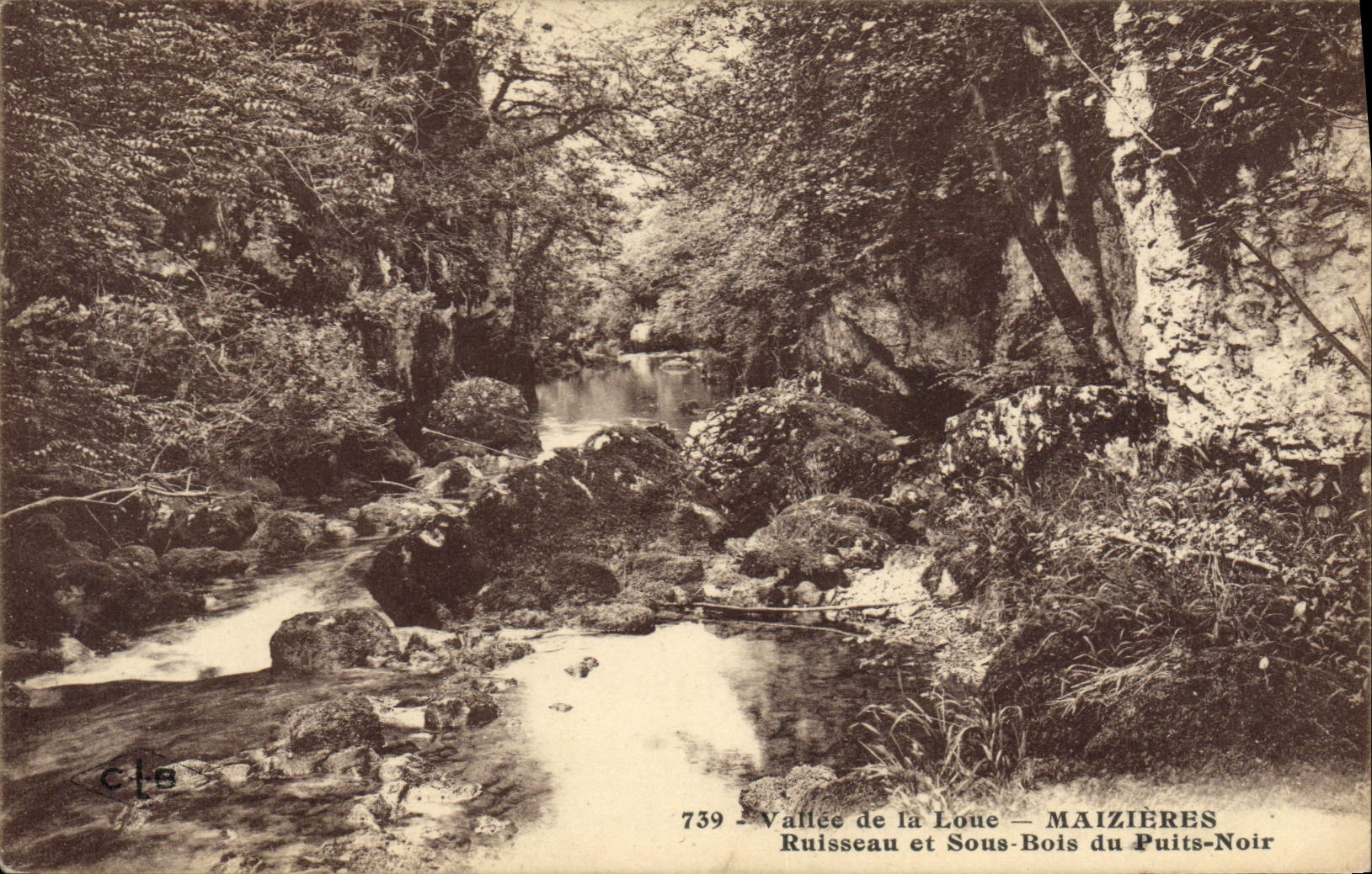 Vallée de la Loue — Ruisseau et Sous-Bois du Puits-Noir — MAIZIÈRES — n°739