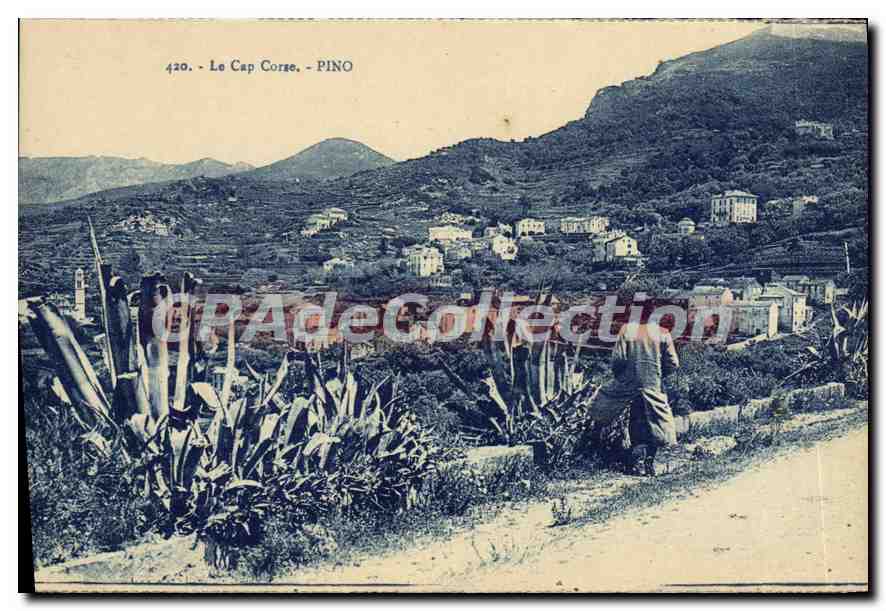 Cap Corse — PINO — Panoramablick mit Dorf auf einer Anhöhe und Mann im Vordergrund — Serie 420