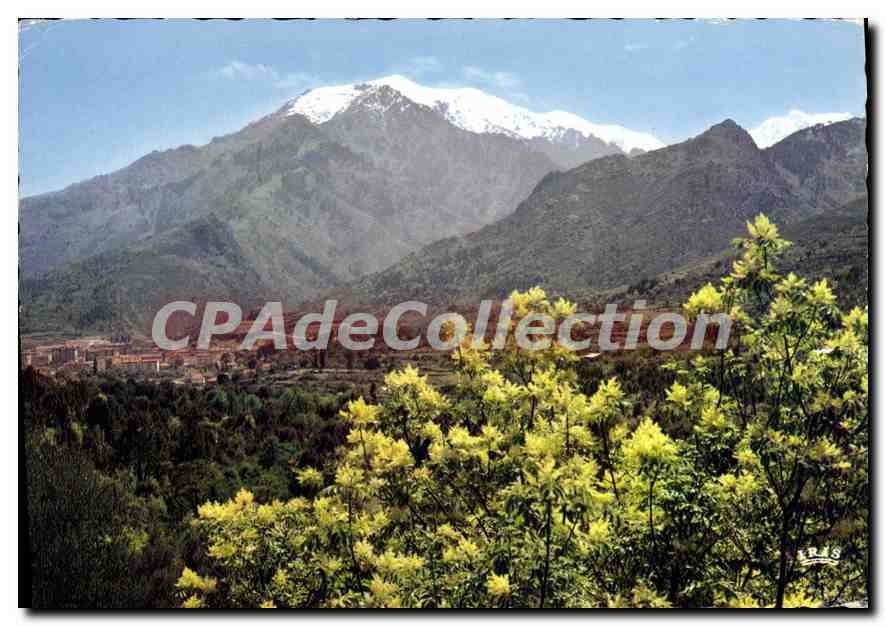 CPSM Corte Vue Generale Sur Fond Neigeux du Mont Rotondo