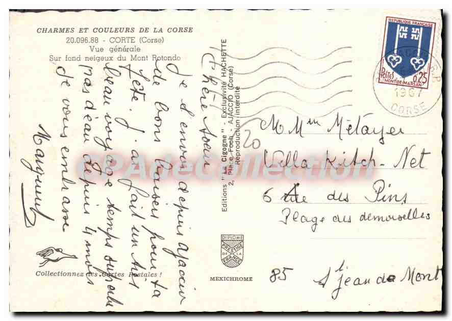 CPSM Corte Vue Generale Sur Fond Neigeux du Mont Rotondo — Back