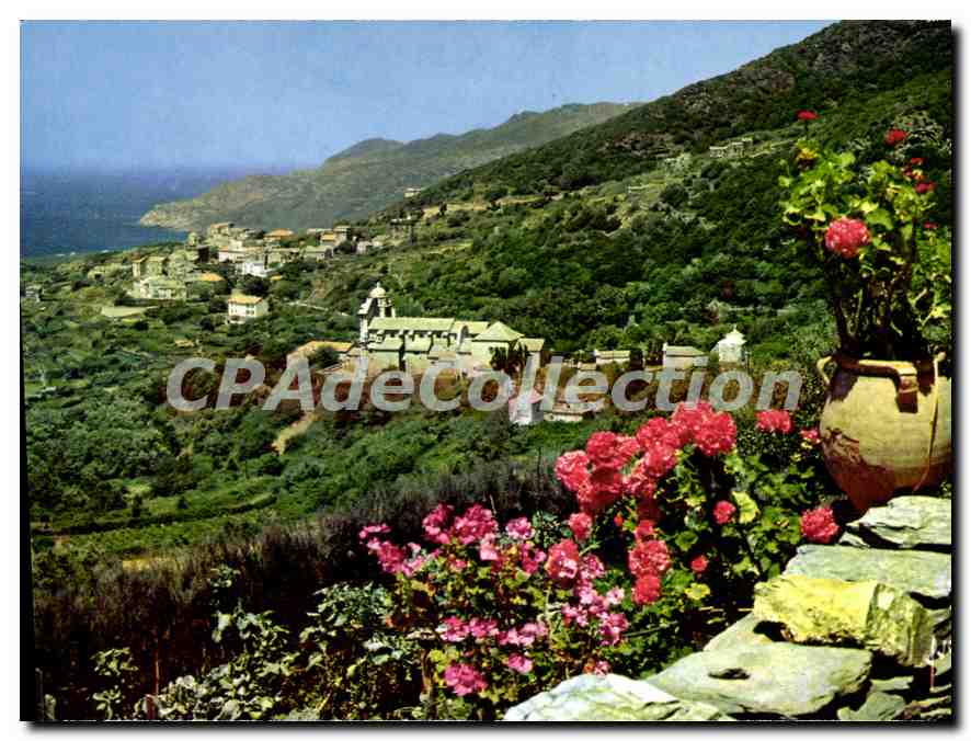 CPSM La Corse Oasis De Beaute Morsiglia