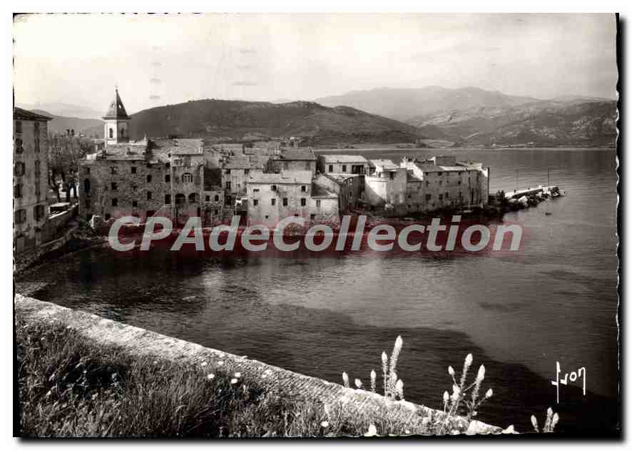 CPSM Saint Florent Et Son Golfe
