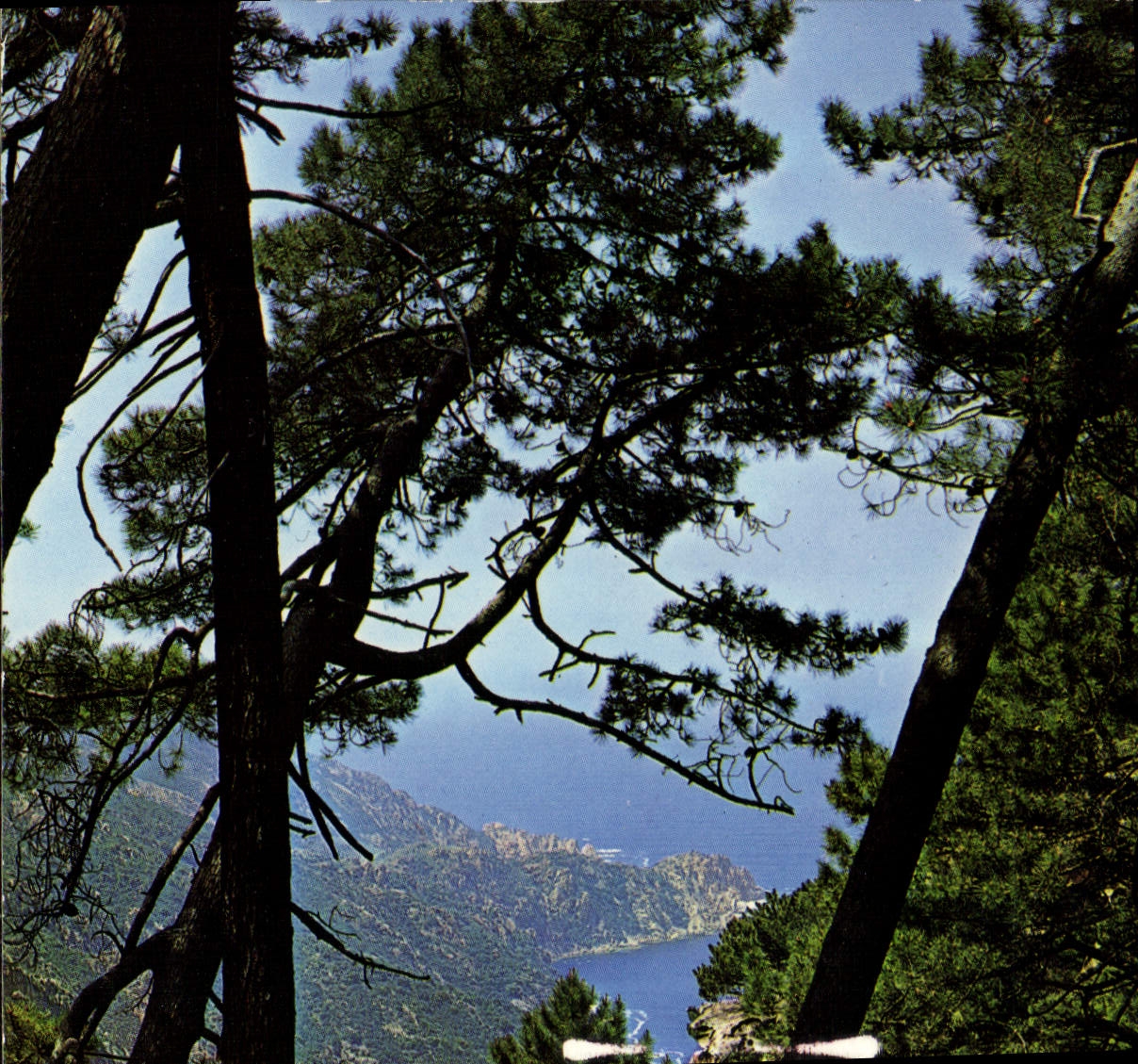 Calanches de Piana — Golfe de Porto — Éd. A. Rion, 18 — Corse-Sud