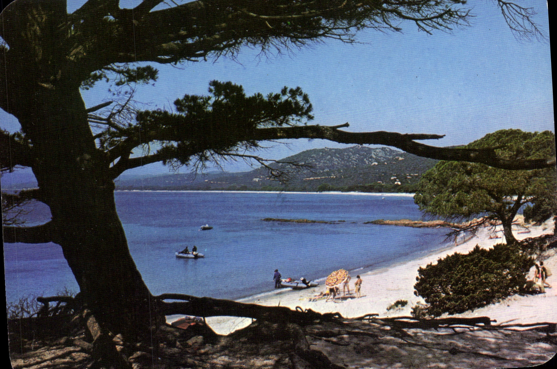 CPSM La Corse Palombaggia Magnifique Plage De Sable Dore