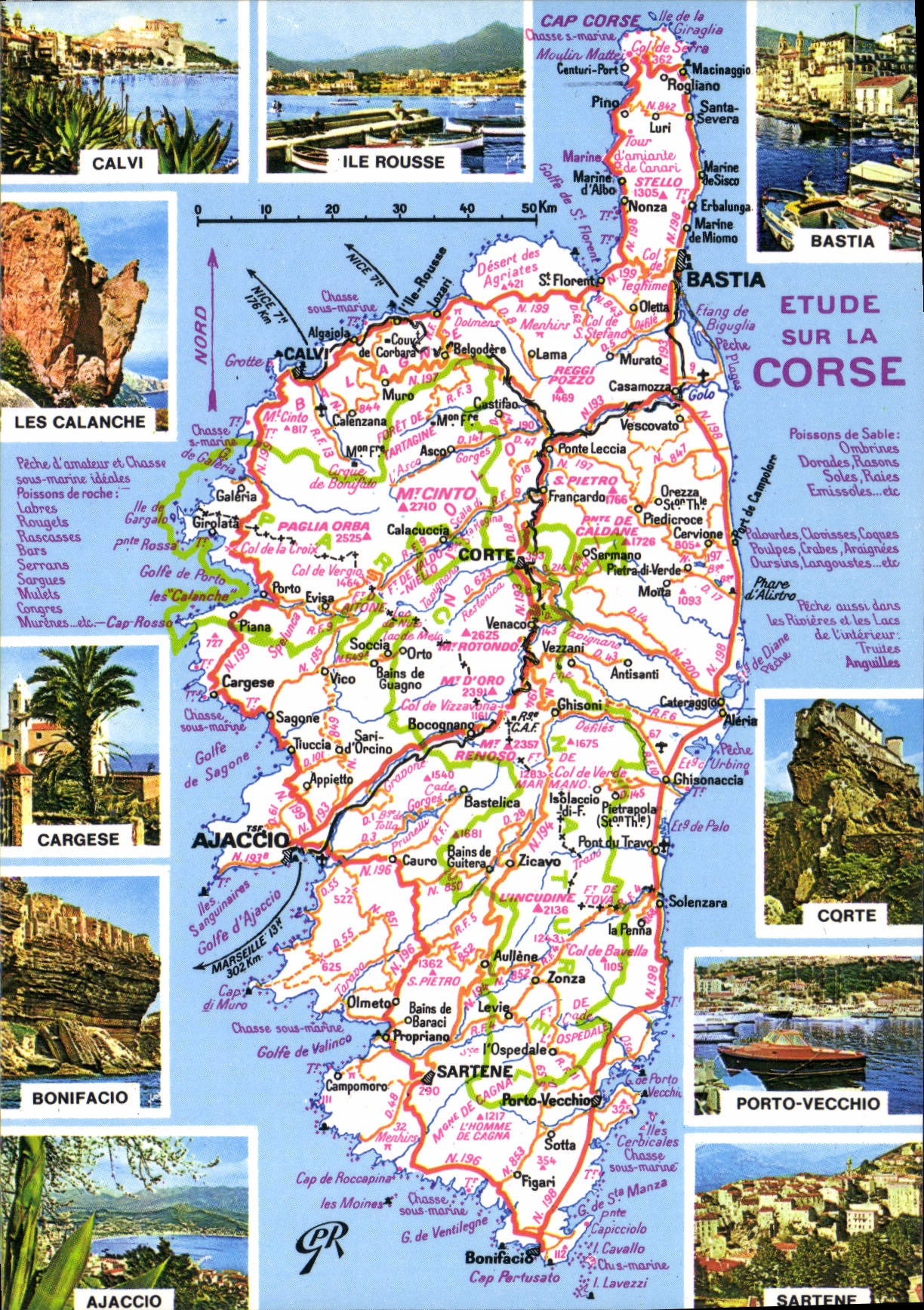 CPSM La Corse Ile De Beaute Cedee A La France Ajaccio