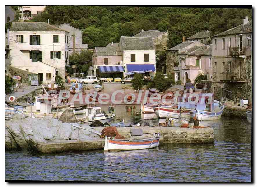 Port de pêche à la Pointe de la Finaïda — Souvenir de Corse Centuri