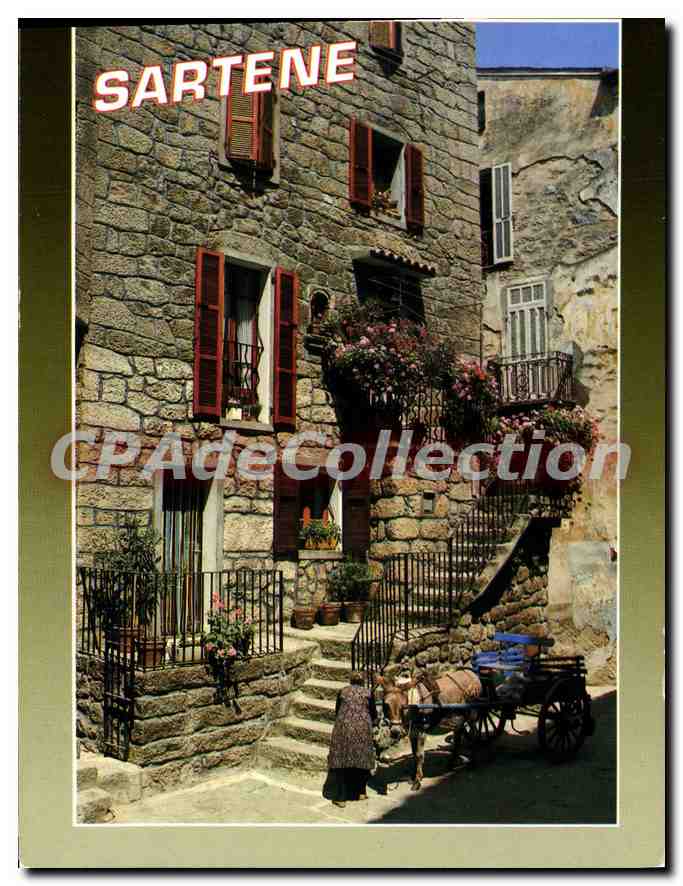 CPSM Souvenir De Corse Rueile De Sartene