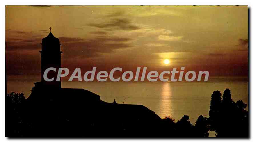 CPSM La Corse Pino Coucher De Soleil