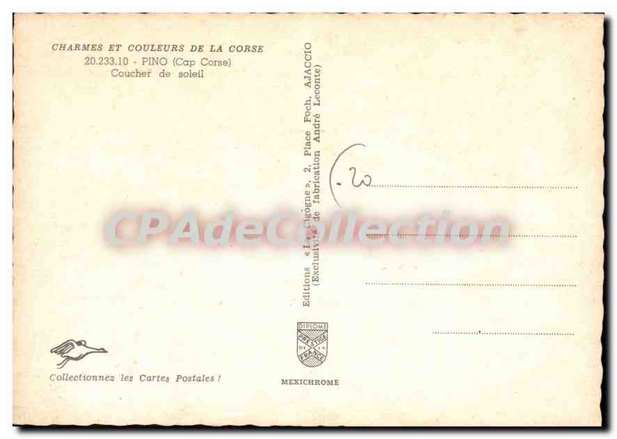 CPSM La Corse Pino Coucher De Soleil — Verso
