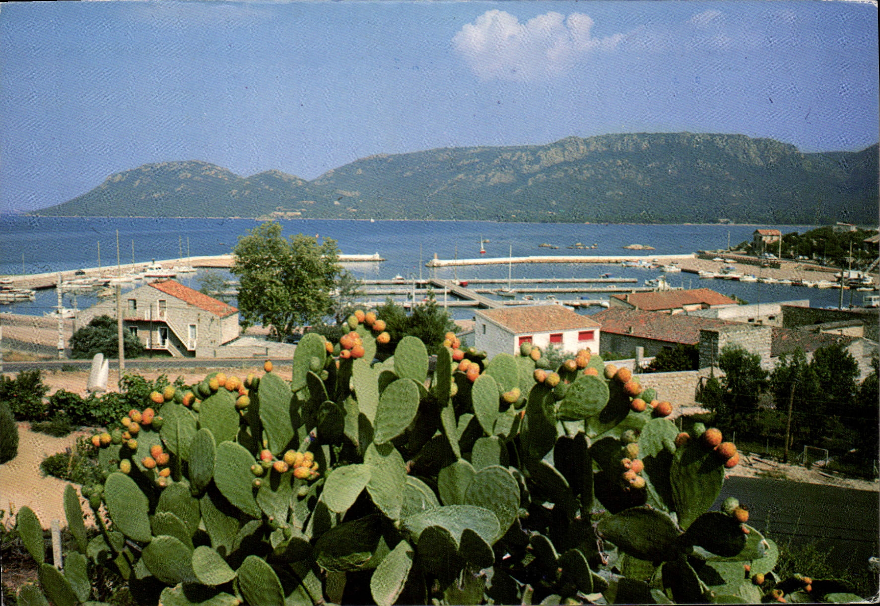 Porto Vecchio — Ansicht des Hafens und der Berge — Edition ROC-EMARE