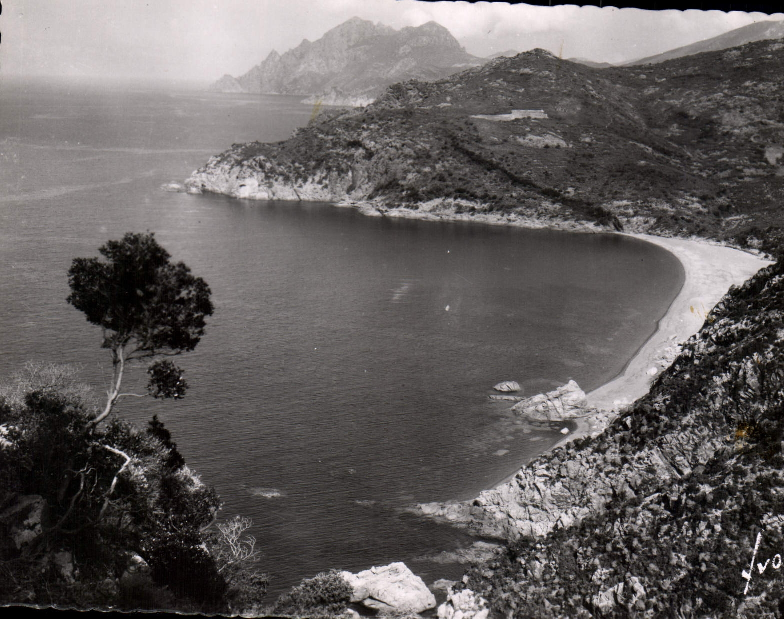 CPSM La Corse Golfe De Porto Plage De Bussagna