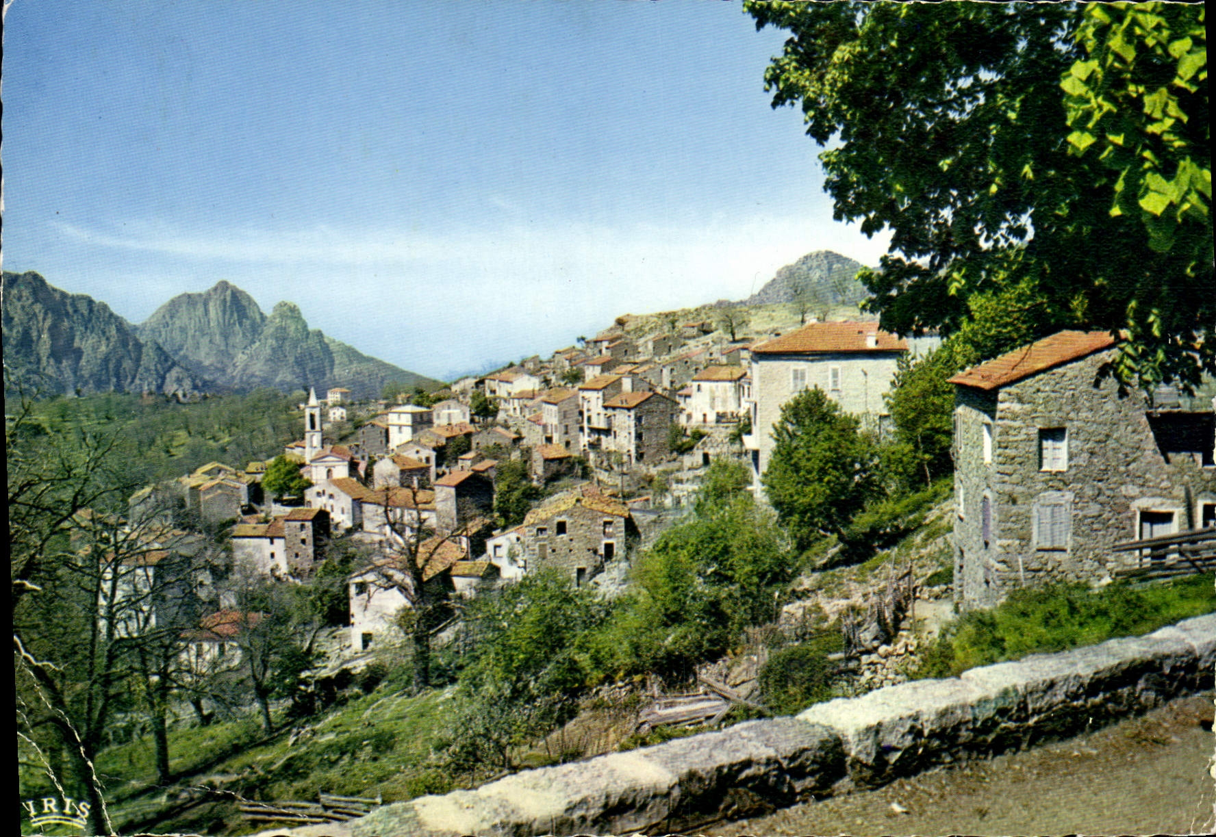 CPSM La Corse Evisa Vue Generale
