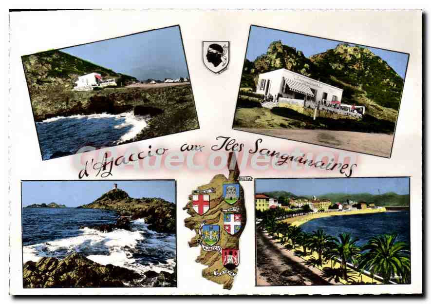 CPSM La Corse D'Ajaccio Aux Sanguinaires