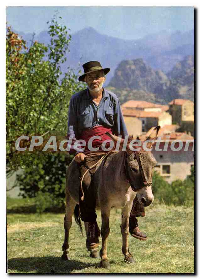 CPSM La Corse Ile De Beaute Types