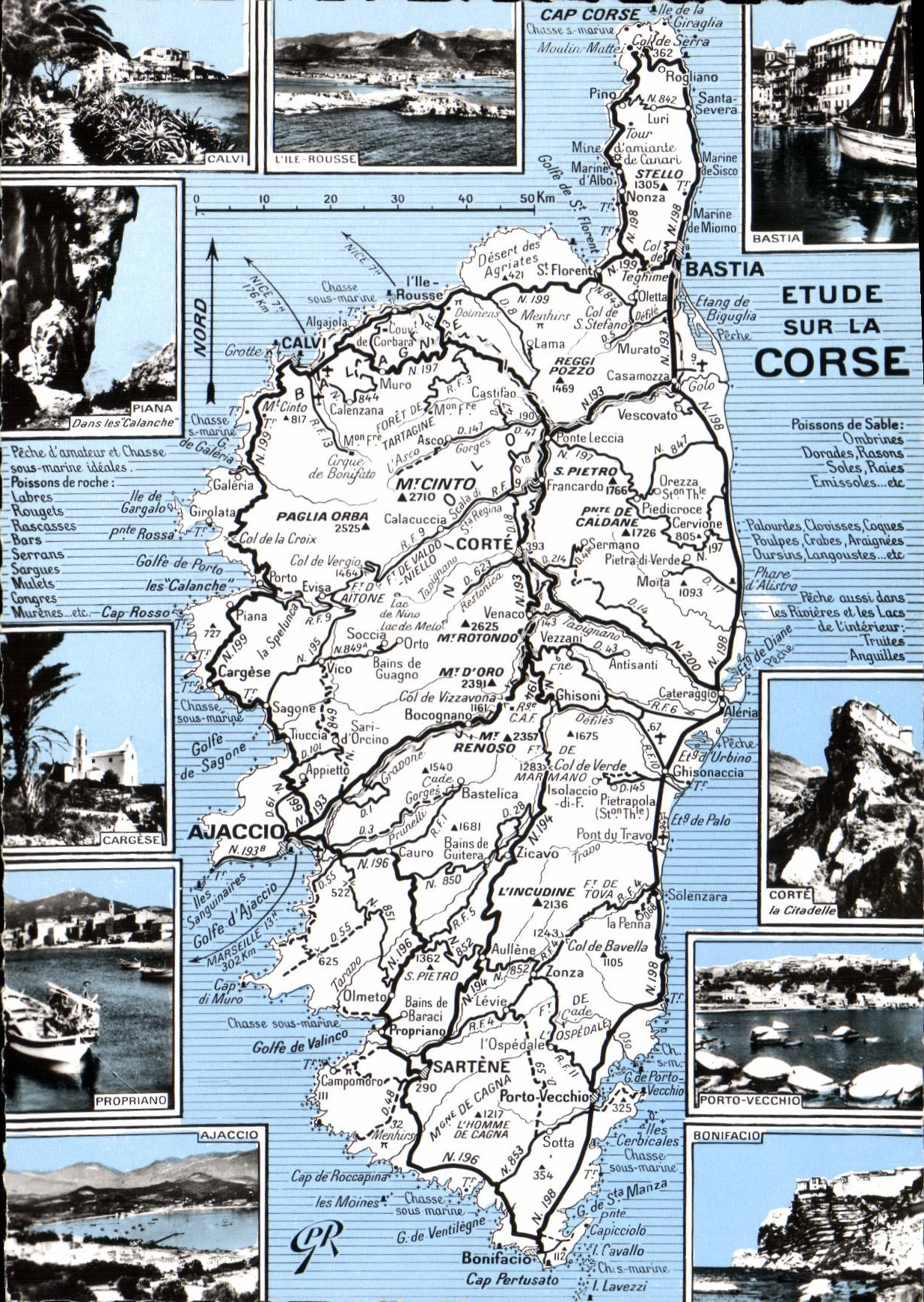 CPSM La Corse Ile De Beaute Francoise Depuls Ajaccio