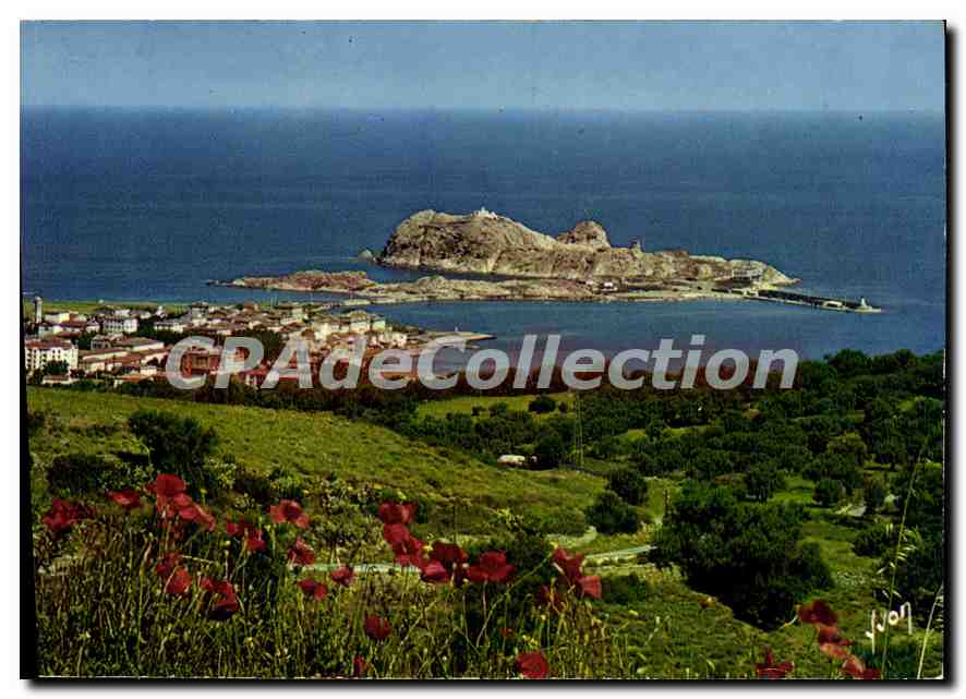 CPSM La Corse Ile Rousse Vue Generale