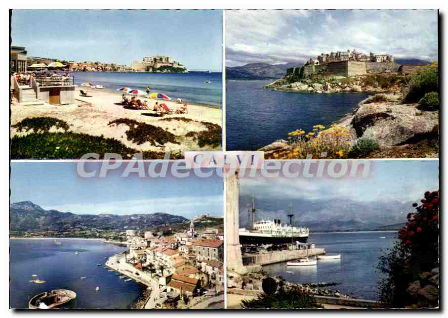 CPSM La Corse De Calvi