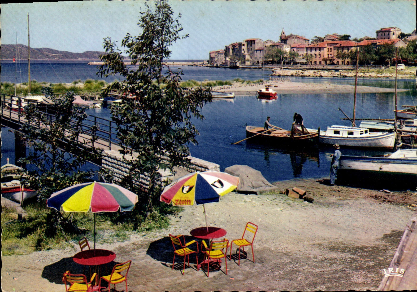 CPSM La Corse Saint Florent Le Pont De I'Aliso