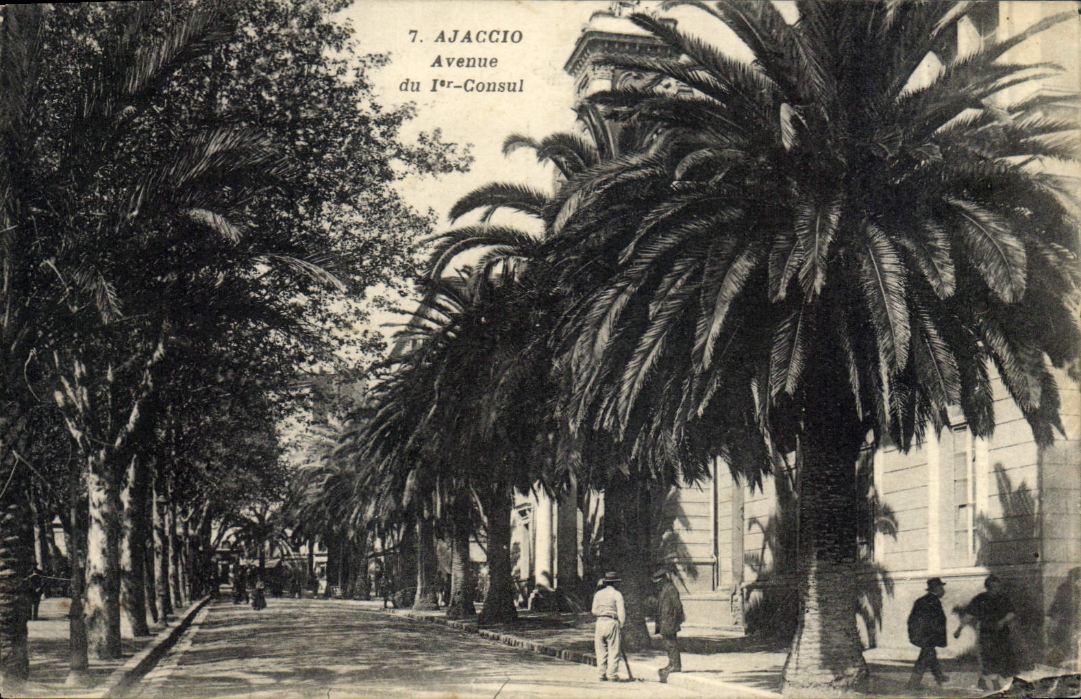 CPA Ajacio Avenue Du Consul