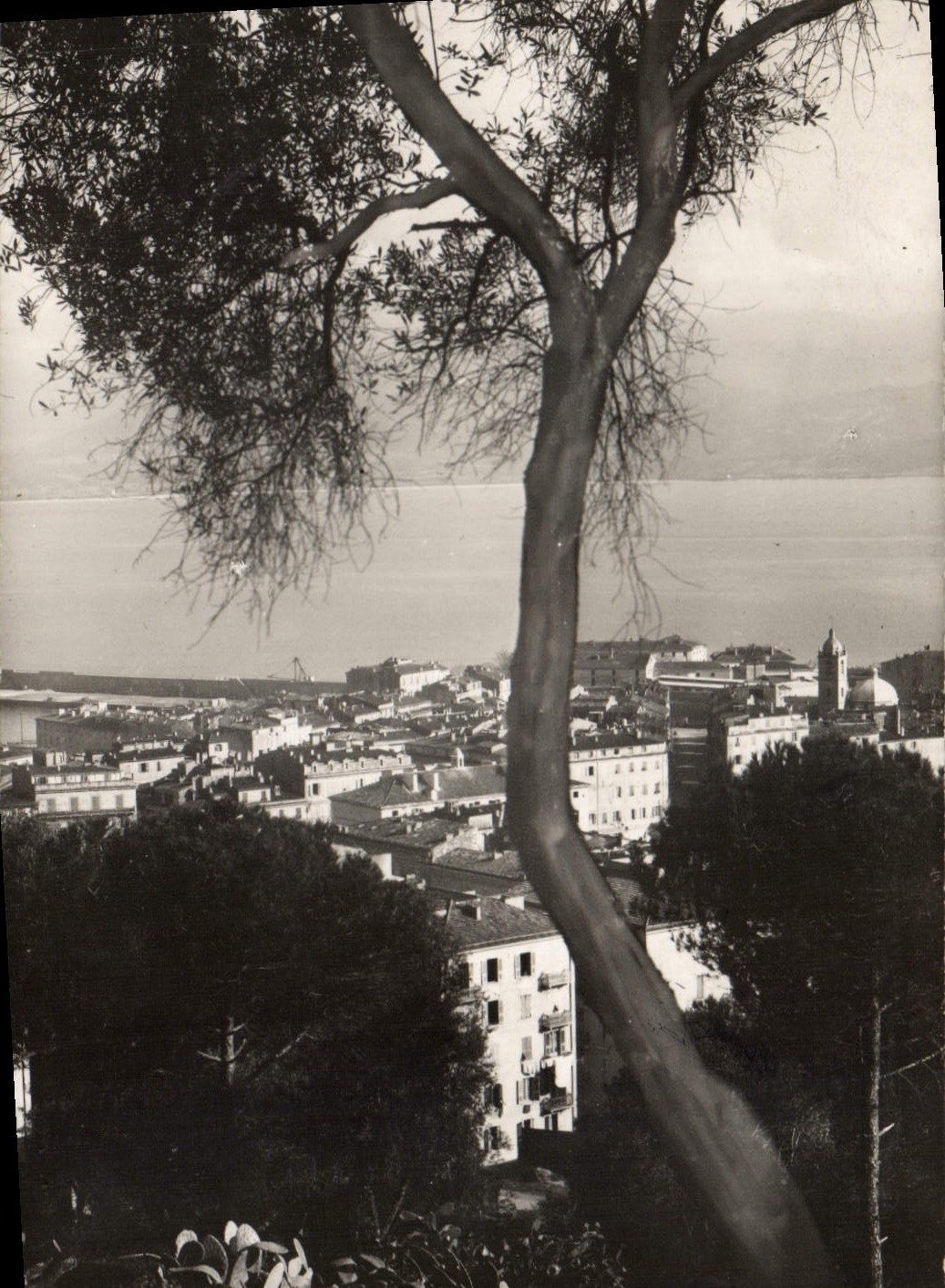 Vue de Ajaccio — Les Editions A. Tomasi — n° 1828 - Recto