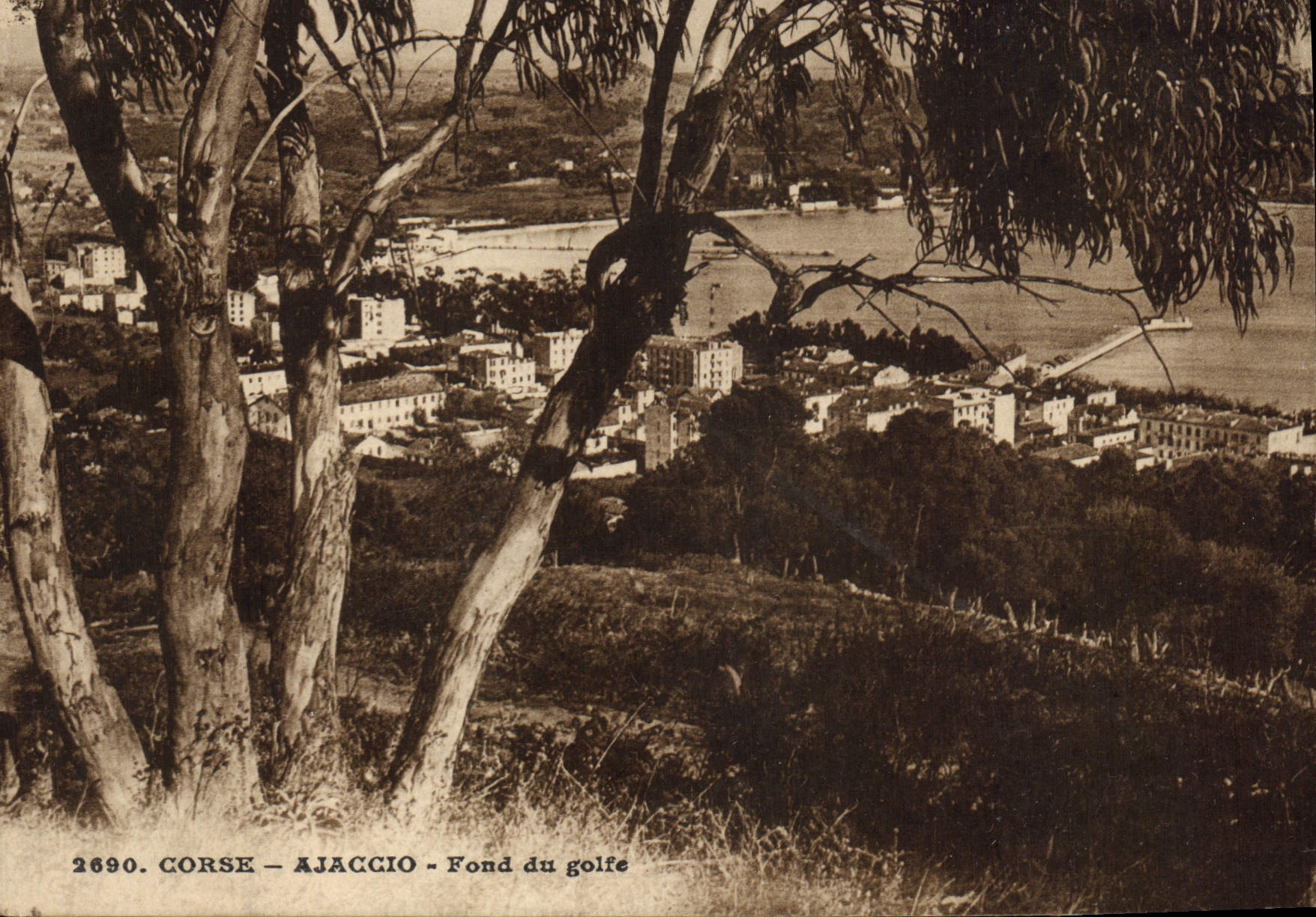 Ajaccio — Fond du golfe — Les Éditions d'Art A. Tomasi, n° 2690