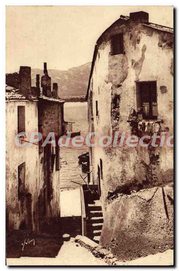CPA Calvi Vieilles Maisons Dominant Le Port