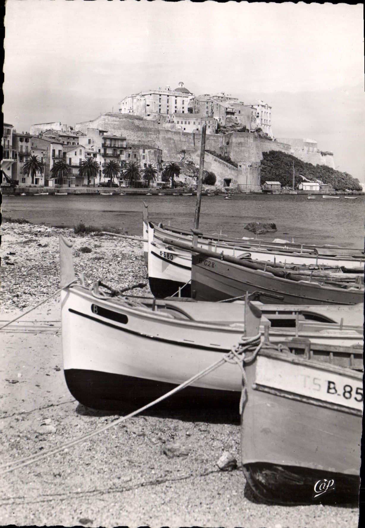 CPSM Calvi Vue Sur Le Port Et La Ville