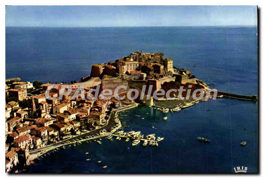 CPSM Calvi Vue Partielle De la Ville La Marine Et La Citadelle