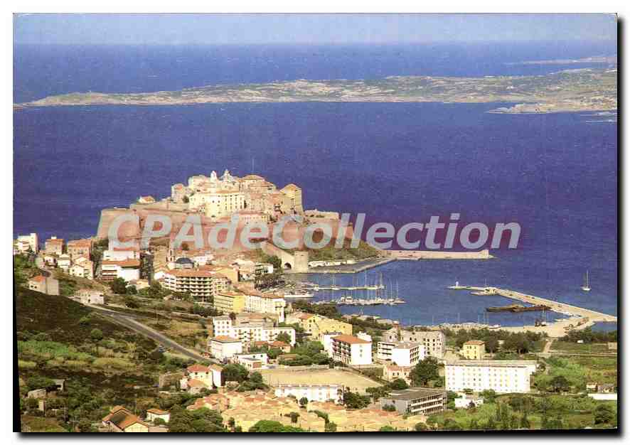 CPSM Calvi La Citadelle S'eleve Sur Un Promontoire Extreme Pointe
