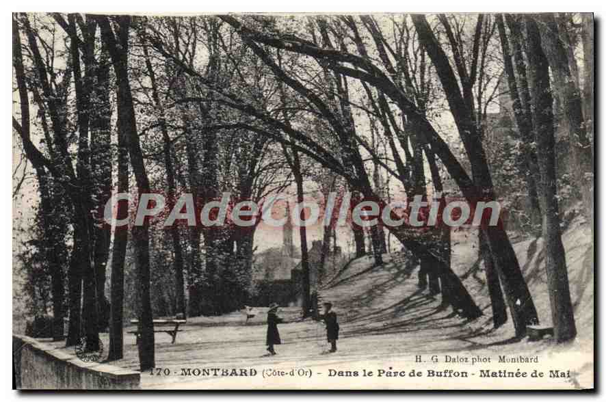 CPA Montbard Dans Le Parc De Buffon Matinee De Mai