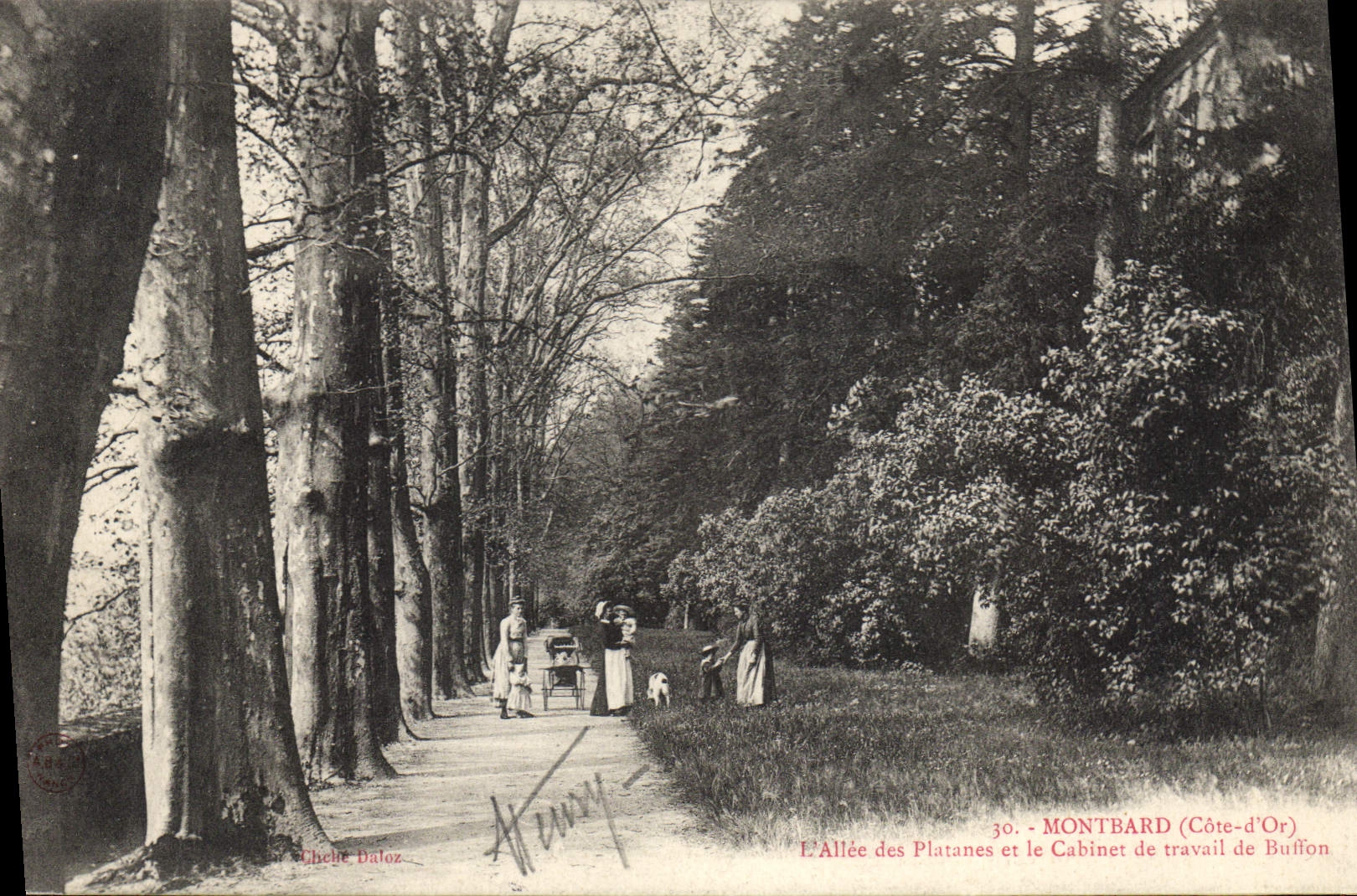 CPA Montbard L'Allee Des Platanes Et Le Cabinet