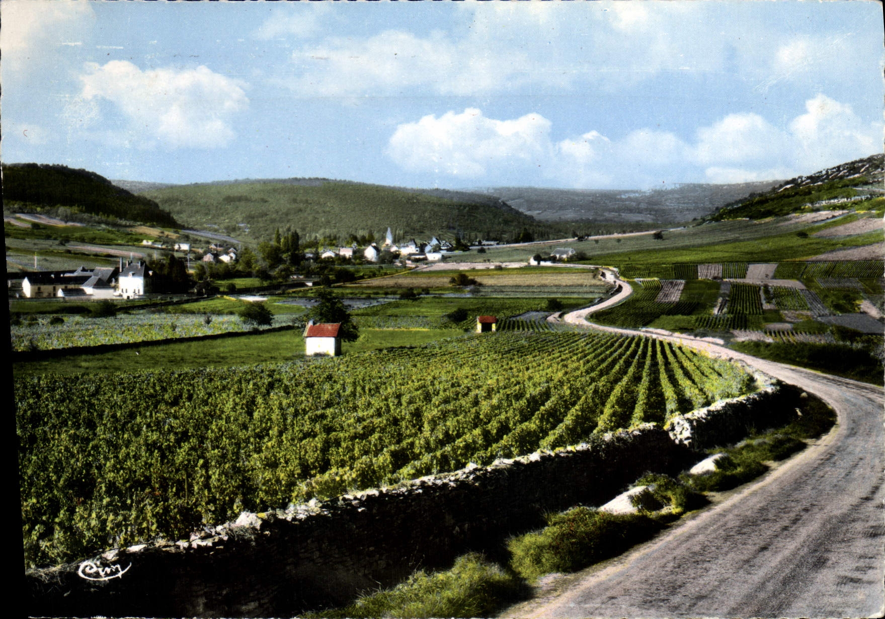 Auxey-Duresses (Côte-d'Or) — Allgemeiner Blick über die Weinberge — Combière (CIM)