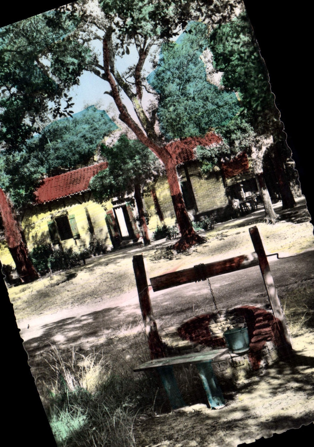CPA Les Landes Pittoresques Maison Landaise 