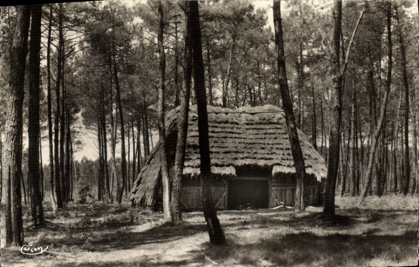 CPA Paysage Landais Refuge dans la Foret 