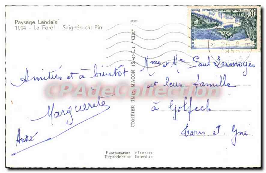 CPA Paysage Landais La Foret Saignee du Pin  — Verso