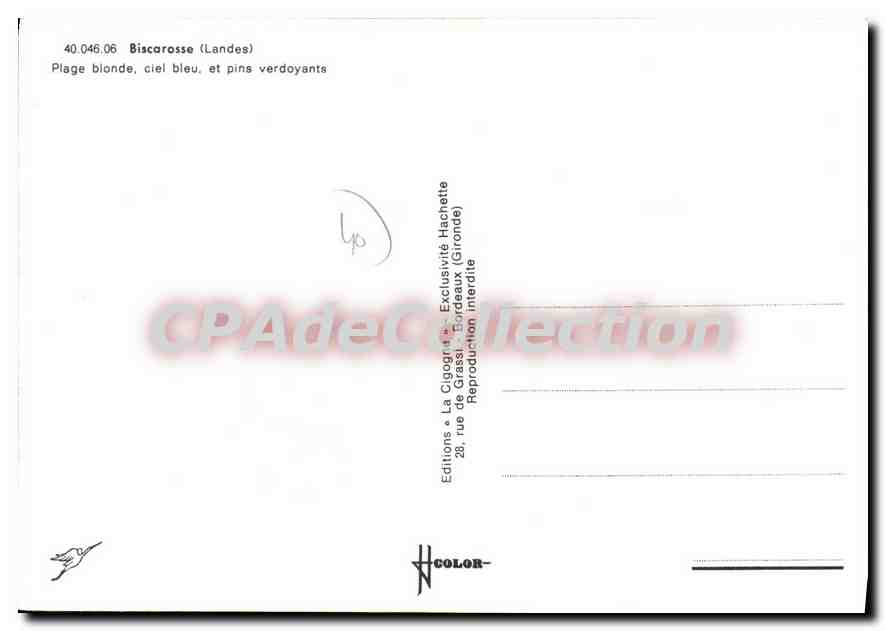 CPSM Biscarrosse Landes Plage Blonde ciel bleu et pins Verdoyants  — Verso