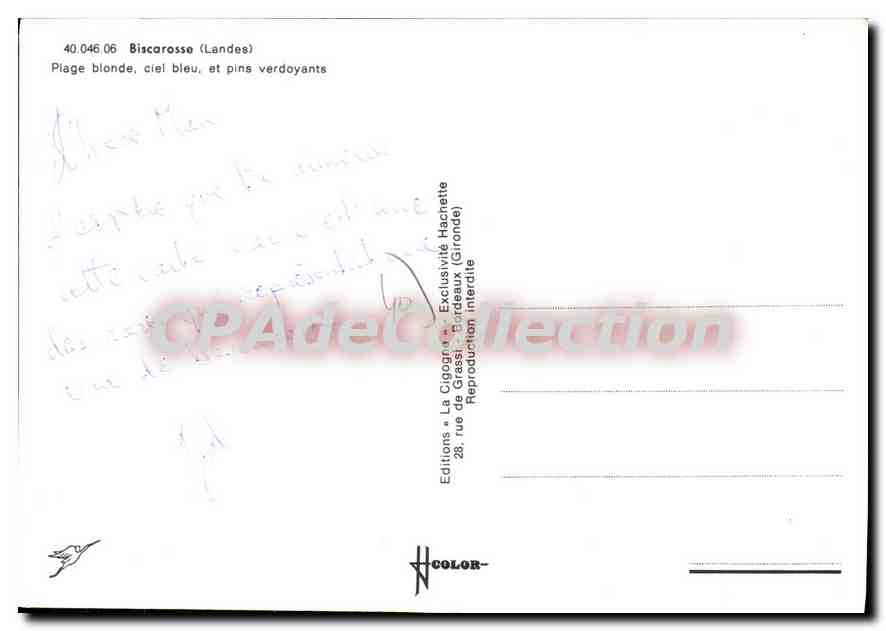 CPSM Biscarrosse Landes Plage Blonde Ciel Bleu et Pins Verdoyants  — Verso