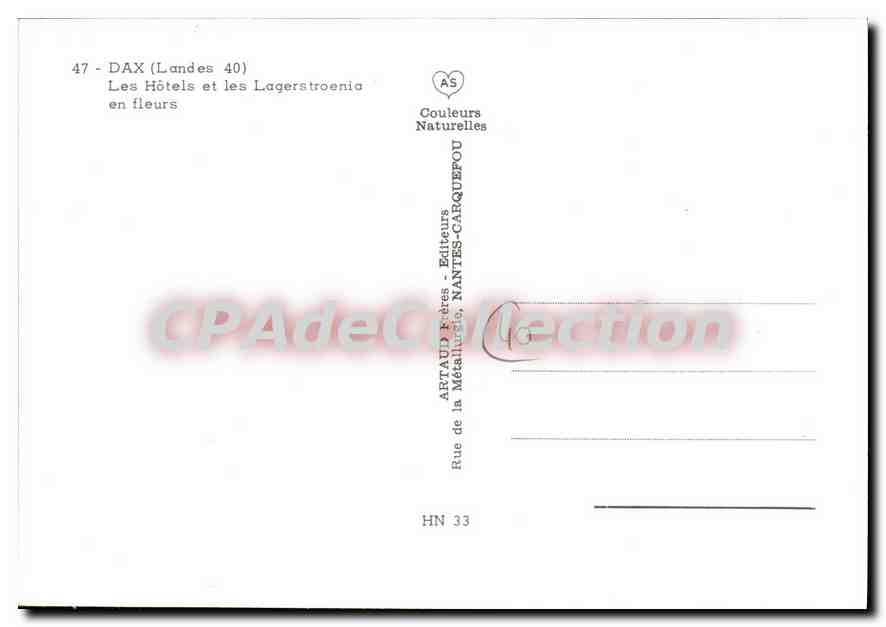 CPSM Dax Landes Les Hotels et les Lagerstroenia en fleurs  — Verso