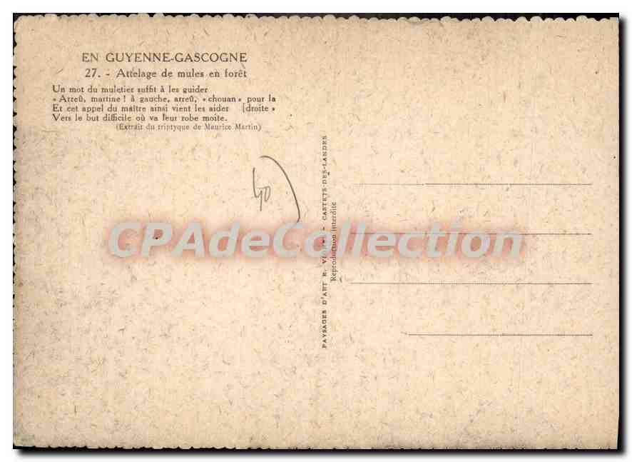 CPSM En Guyenne Gascogne  — Verso